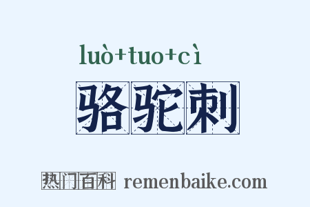 骆驼刺是什么意思的图片